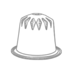 capsula espresso 100 chicchi di caffe